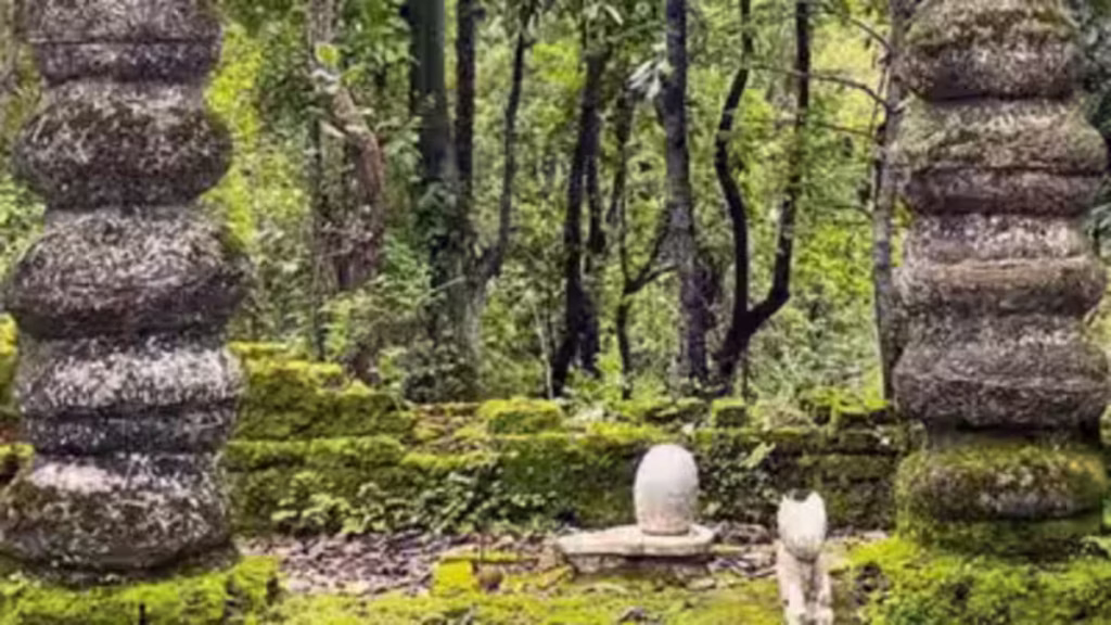 
The forest shrine in Madhya Pradesh's Dindori district, revered by the Baiga community for generations. Credit: Times of India