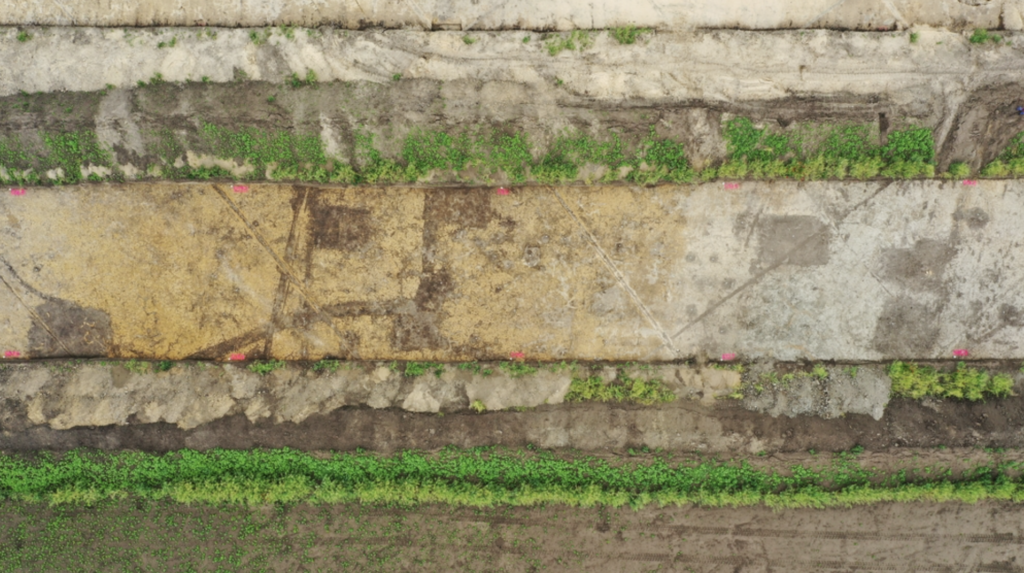 The remains of several sunken-featured buildings are clearly visible in the excavation area. Credit: Landesamt für Denkmalpflege und Archäologie Sachsen-Anhalt / Klaus Bentele.