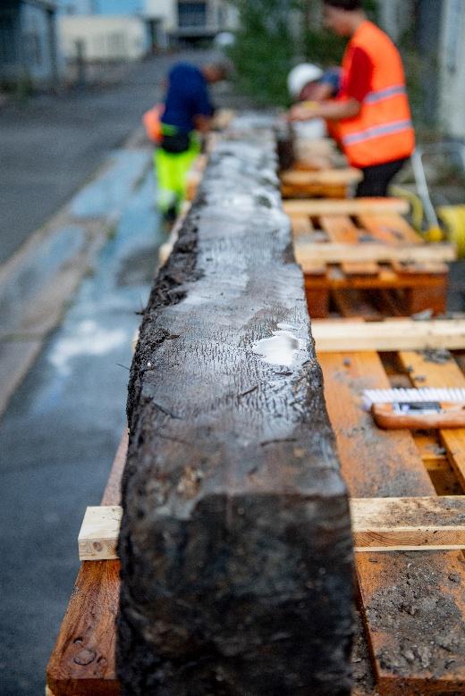 Recovered Iron Age oak beam from the Celtic structure in Aschaffenburg