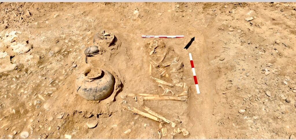 The 3,600-year-old burial in Kurgan No. 4 at Keshikchidagh, containing human remains, ceramic vessels, and weapons associated with a high-status individual. Credit: Keshikchidagh State Historical and Cultural Reserve