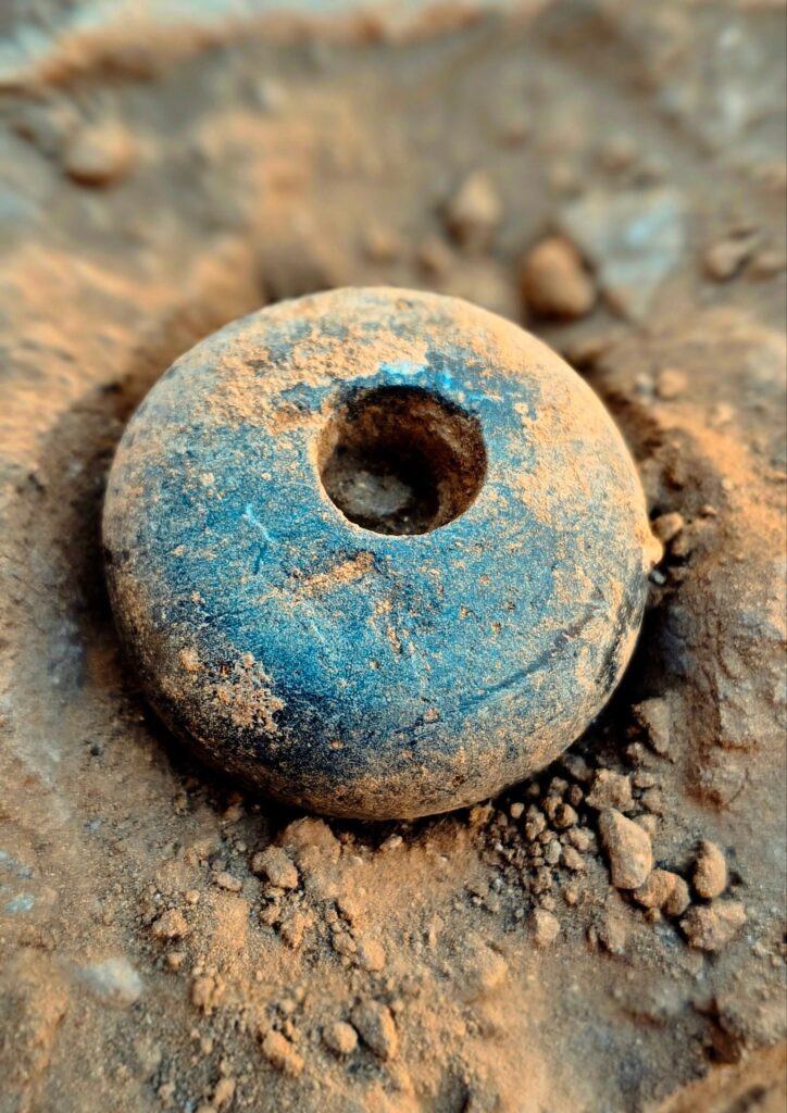 The rare diorite mace head recovered from Kurgan No. 4 at Keshikchidagh. Archaeologists believe such objects could function not only as weapons but also as symbols of military rank and authority. Credit: Keshikchidagh State Historical and Cultural Reserve