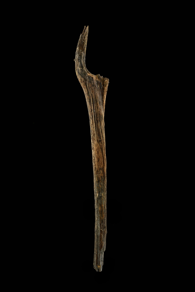 10,500-year-old wooden post from Lake Arendsee with visible felling and working marks.