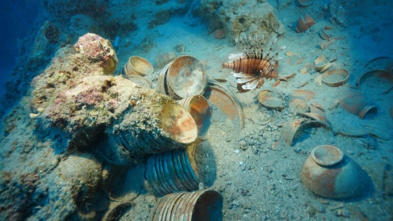 A 2,100-Year-Old Shipwreck Is Revealing the Tableware Even Cicero Wrote About