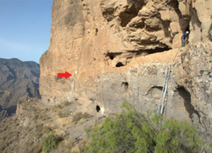 8,000 Ancient Insects Challenge a Theory About the Dead in Gran Canaria