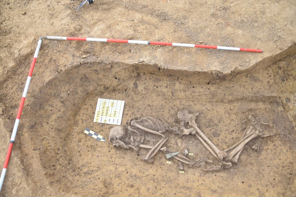 Human skeletal remains and associated archaeological finds exposed in a prehistoric grave in Czechia.