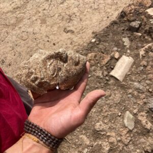 Face of Etruscan Goddess Uni Found at Her 2,500-Year-Old Temple in Italy