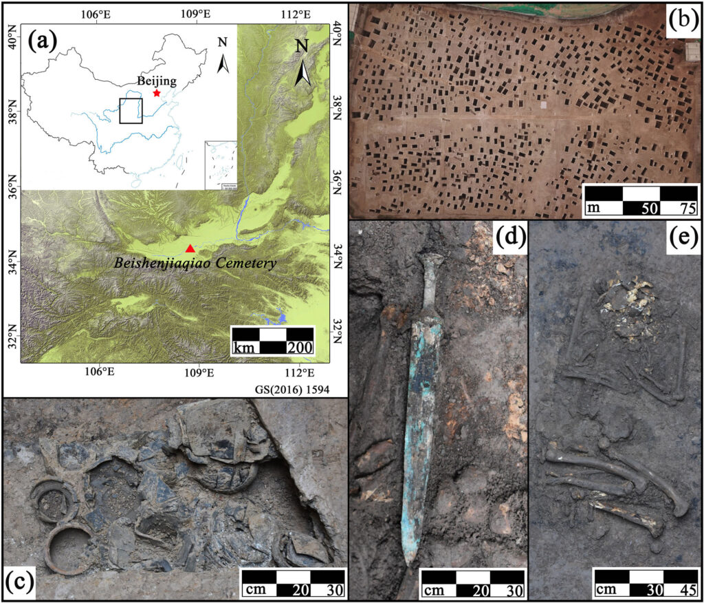 The Beishenjiaqiao cemetery in Xi’an and the excavation context of Burial M280. The original excavation photograph records the fragmented condition of the burial, but the stone object cannot be identified in the image. Credit: Wang et al., npj Heritage Science (2026)
