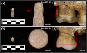 Mysterious Stone Found Inside a 2,300-Year-Old Qin Burial Challenges the Dental Implant Theory