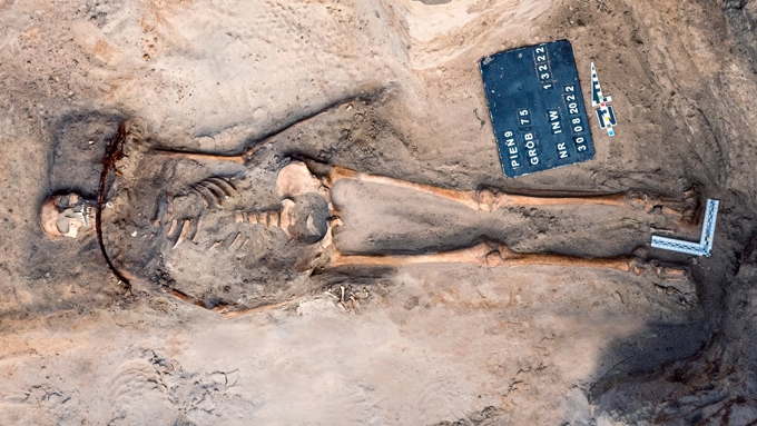 Full view of Grave 75 at Pień, Poland, showing the skeleton of a young woman with an iron sickle positioned across her neck.