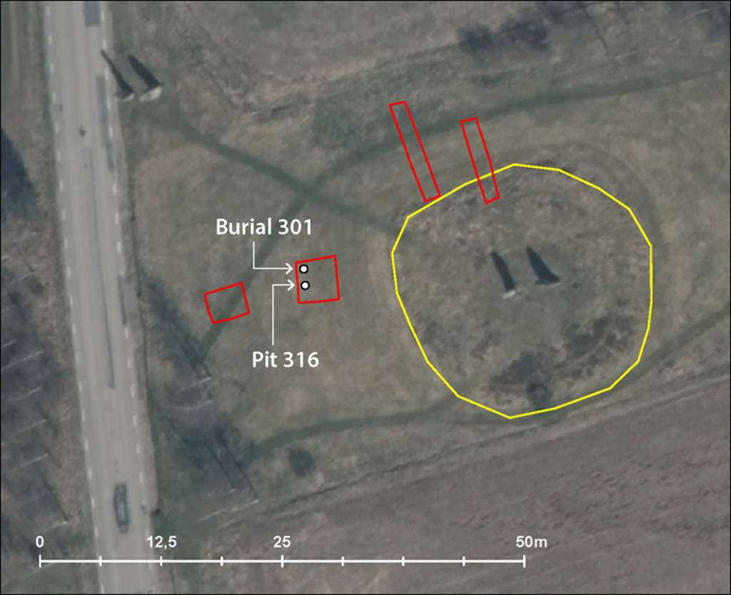 Site plan showing the mound (yellow line) and the trenches (red outlines).