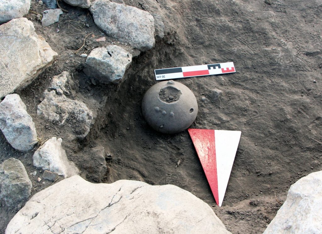 4,000-year-old Hittite vessel from Külhöyük containing ancient Sevgi Çiçeği seed remains.