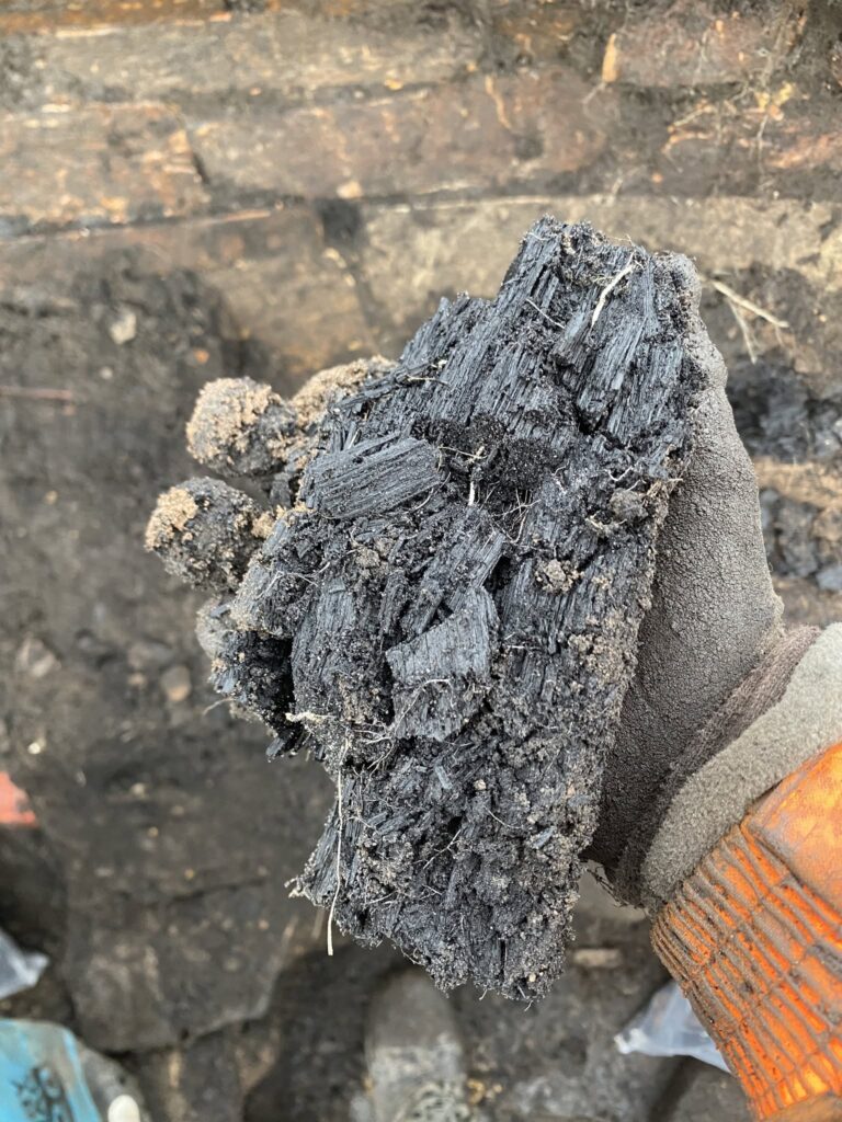 Charred wood recovered from deposits above the Iron Age burial at Evelix Quarry in Scotland.
