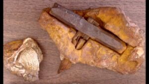 A Hammer Older Than the Dinosaurs? Inside One of America’s Strangest Mysteries