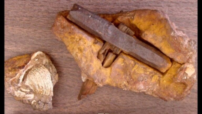 A Hammer Older Than the Dinosaurs? Inside One of America’s Strangest Mysteries
