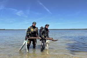 10,500-Year-Old Wooden Structures Discovered Beneath Lake Arendsee in Germany