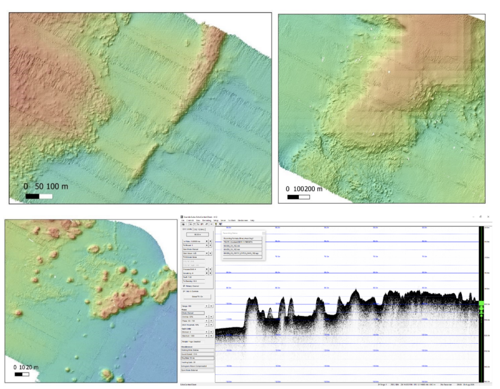 Four scientific images showing the submerged Sicily–Malta corridor, including a western reef, central ridge, underwater mud-volcano field, and seismic profile recorded during the BRIDGES_2 expedition.