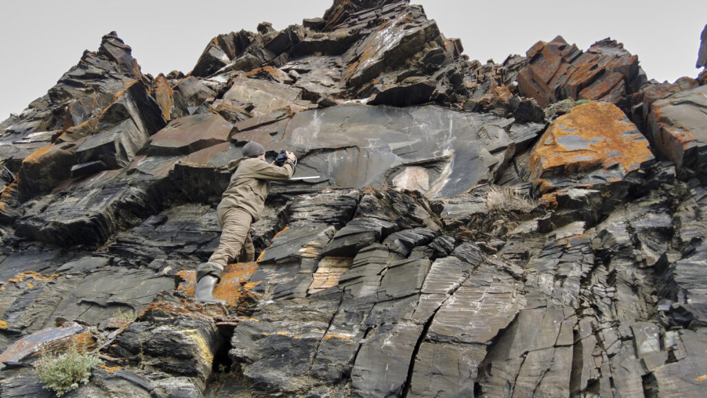 Archaeologists Discover 31 Previously Unknown Petroglyphs in Russia’s Remote Arctic