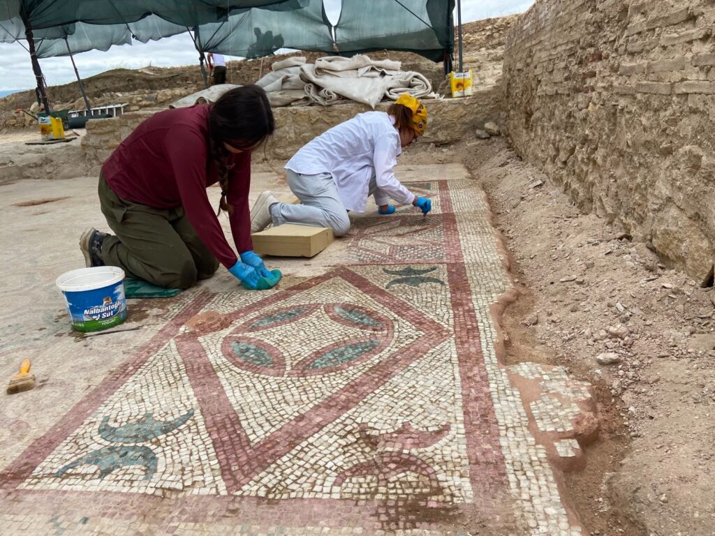  The mosaic is not yet fully exposed. Credit: Republic of Türkiye Ministry of Culture and Tourism