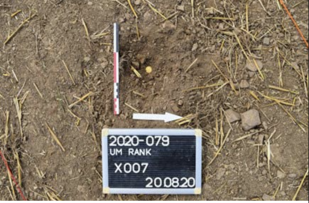 
A late Roman gold solidus photographed in situ at the Um Rank site in Holzthum, Luxembourg. The excavation label identifies the find as X007; the study catalogs it as a solidus of Valentinian II struck at Constantinople between AD 383 and 388. Credit: INRA.