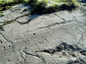16 New Rock Art Panels Discovered at Sweden’s Tanum World Heritage Site, Including a Huge One