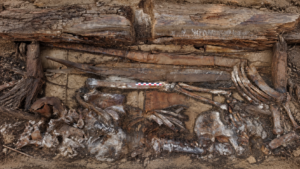 A Warrior’s Grave in Siberia Reveals a Mysterious Weapon Unlike Any Other