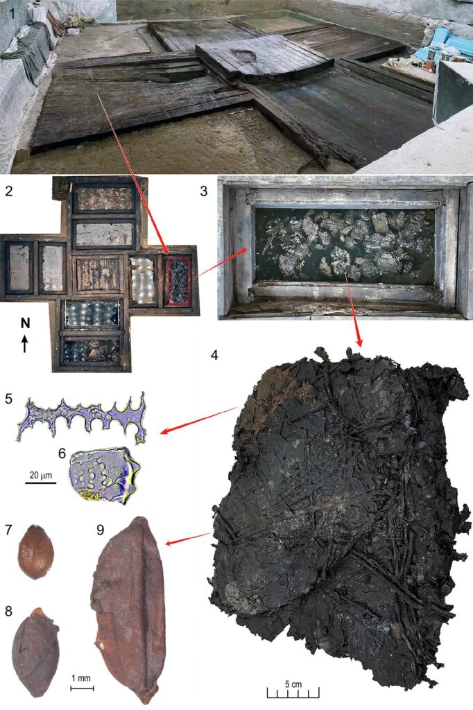 Overview of the Wuwangdun site and the 2,200-year-old plant bundles, including the excavation area.