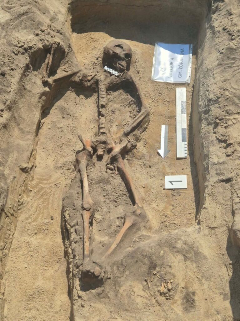 The nearly complete skeleton of an adult man uncovered in the 5,000-year-old burial mound near Żórawina, southwestern Poland. Credit: Wroclaw Medical University