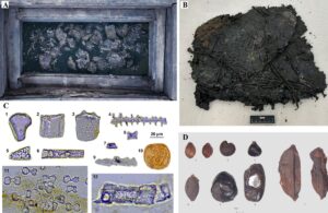 2,200-Year-Old Grain Bundles May Be the Archaeological Echo of an Ancient Legend