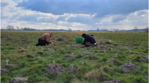 800-Year-Old Medieval Structure Discovered in Belgium with Help from Moles