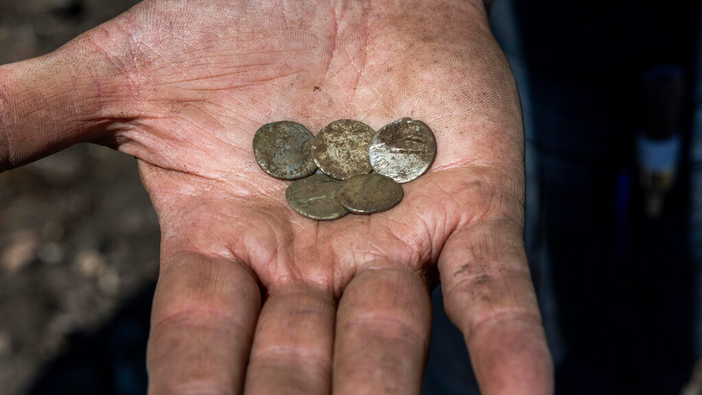Five ancient Roman silver coins displayed in an archaeologist’s palm following their discovery at Tofta, Gotland, Sweden.