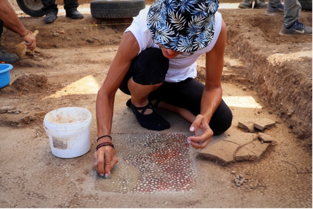 Archaeologists clean the mosaic floor of the northern andron, one of two banquet halls uncovered in the Didaskaleion at Mieza’s Royal Gymnasium.