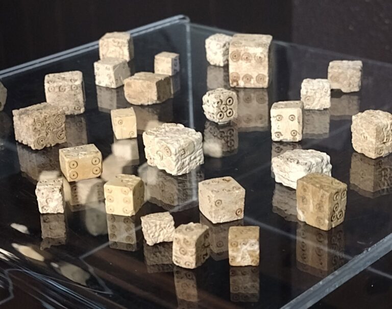 An ‘Ancient Las Vegas’? More Than 1,000 Bone Dice Unearthed at a Roman Town