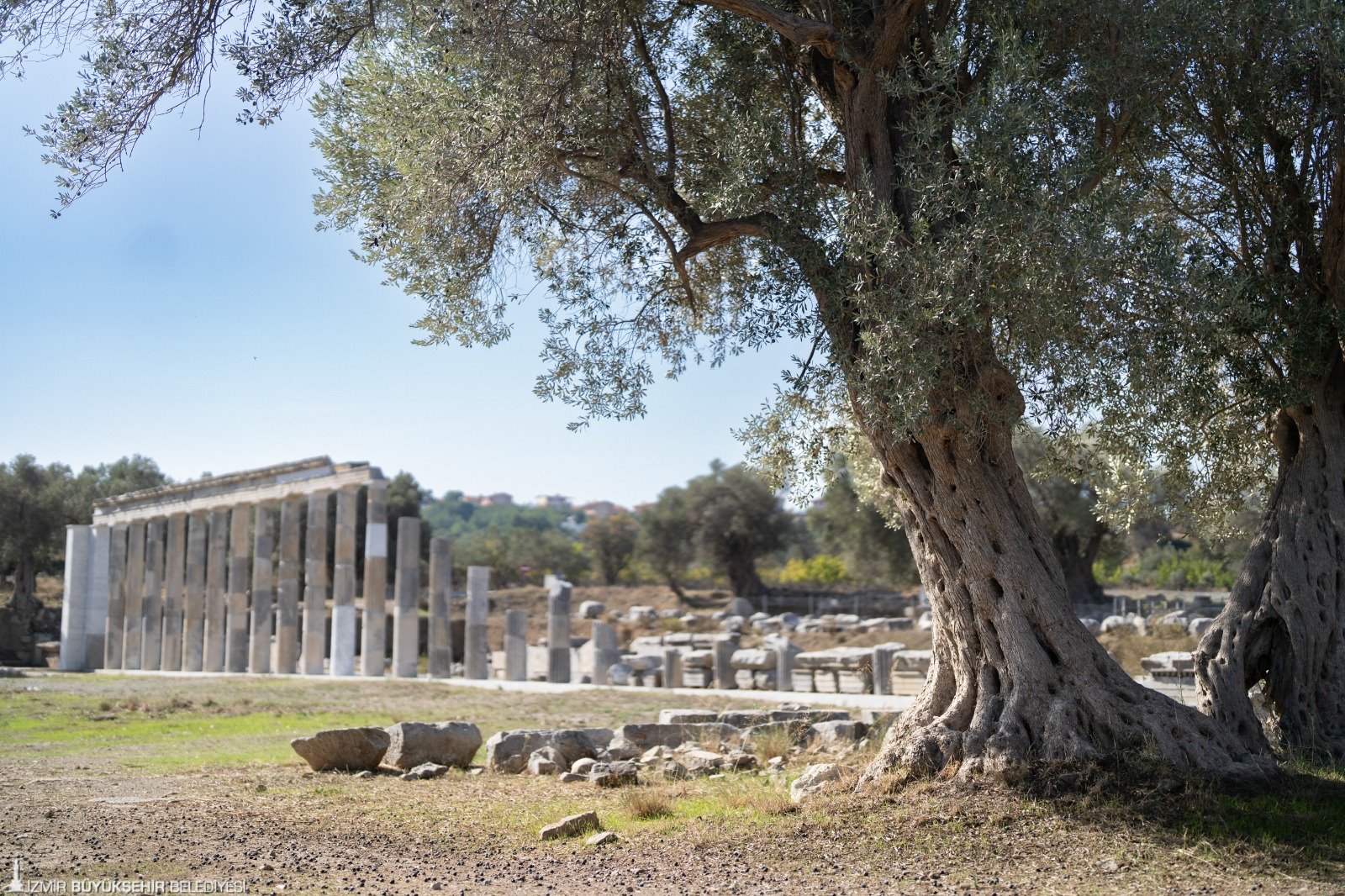 Forget Philosophy and Math, These Teachers Earned More in a Greek City 2,200 Years Ago | Arkeonews