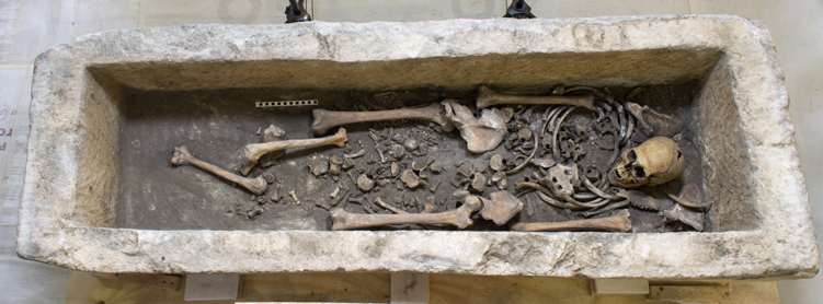 Overhead view of human skeletal remains inside an open Roman stone sarcophagus from Westminster Abbey, with the skull, ribs, and other bones visible.