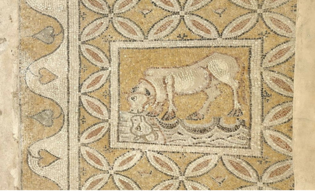 Early Byzantine floor mosaic showing a bull drinking water from a pool, surrounded by decorative patterns, at the Church of the Four Rivers in Hadrianoupolis, Türkiye.