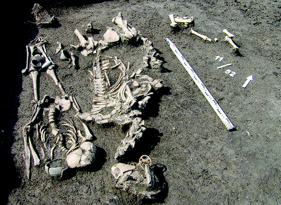Burial 52 at Vinogradny 1, containing the remains of a Maeotian warrior-horseman and his horse. 