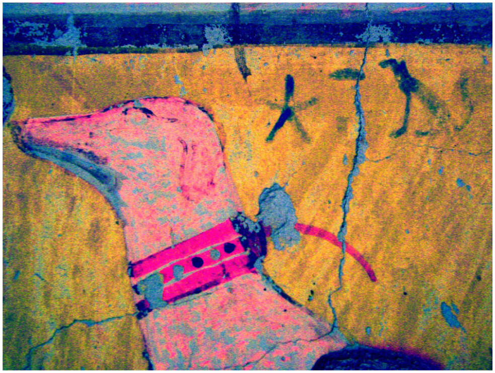 Enhanced image of an ancient Egyptian dog in the tomb of User (TT 21), with DStretch processing revealing the faint hieroglyphic inscription behind its head.