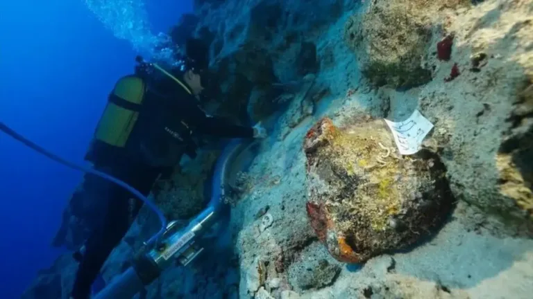 A 4,700-Year-Old Shipwreck, Nine Mysterious Marks, and an Unexpected Clue to Life at Sea