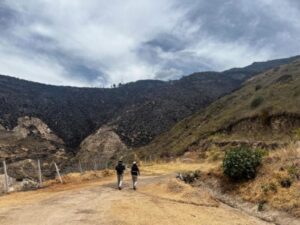 Wildfire Exposes Possible Inca-Era Stairway Hidden in Ecuador