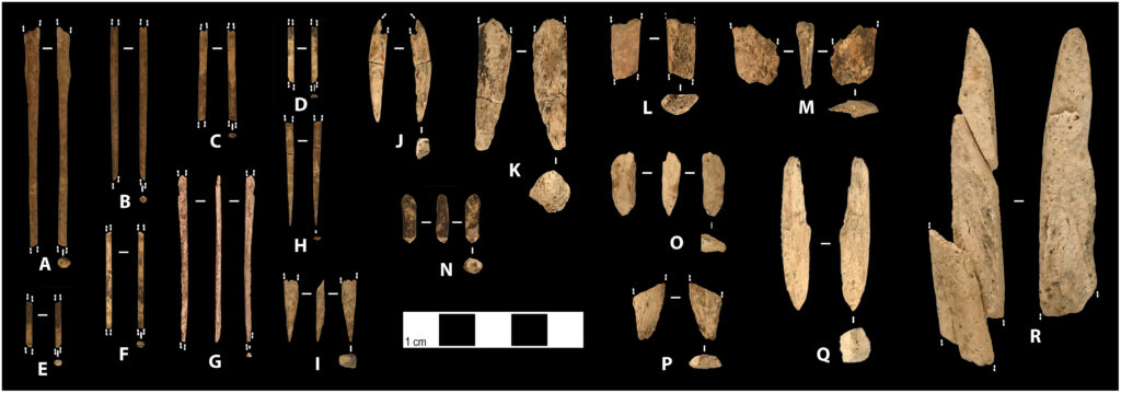 Bone and antler artifacts from a 13,800-year-old Alaska campsite, including eight needle fragments, an awl tip, a drilled pendant, pointed tools, and an unidentified fragment arranged in labeled groups.
