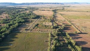 First Turkic Khaganate-Era Settlement With Rare Bird Figurine Found in Kazakhstan