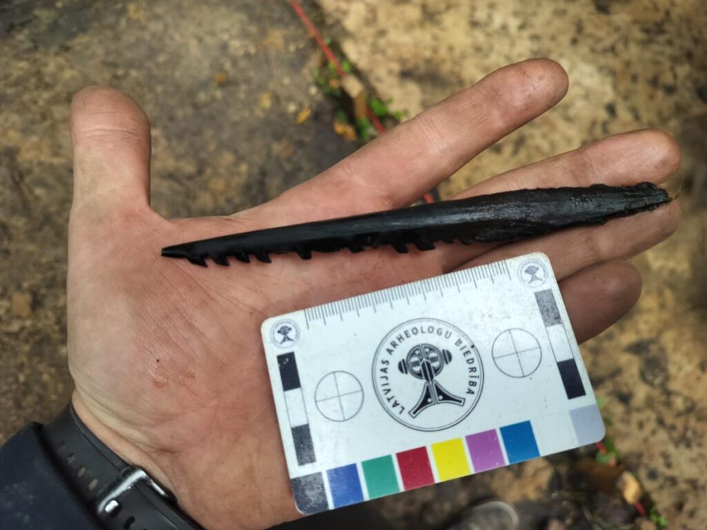 Barbed prehistoric bone fishing spear displayed in a researcher’s hand beside a measurement card during excavations in Latvia.