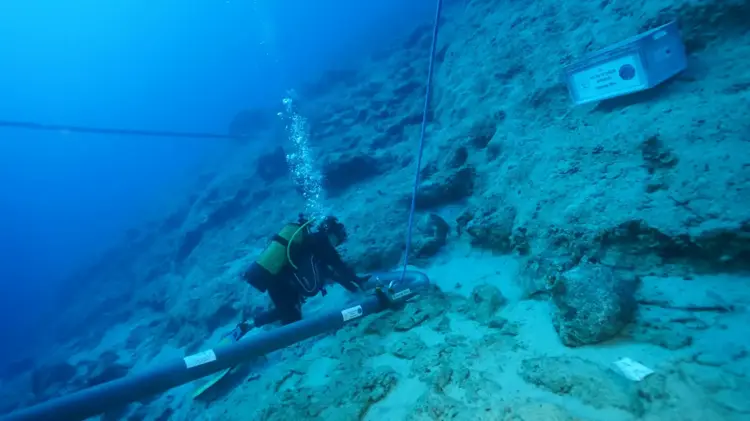 An underwater archaeologist examines the seabed during investigations of the 4,700-year-old Early Bronze Age shipwreck near Kekova Island, Türkiye. Credit: Republic of Türkiye Ministry of Culture and Tourism.