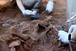 Archaeologists Uncover New Traces of Dionysus Worship at 2,300-Year-Old Castle in Türkiye
