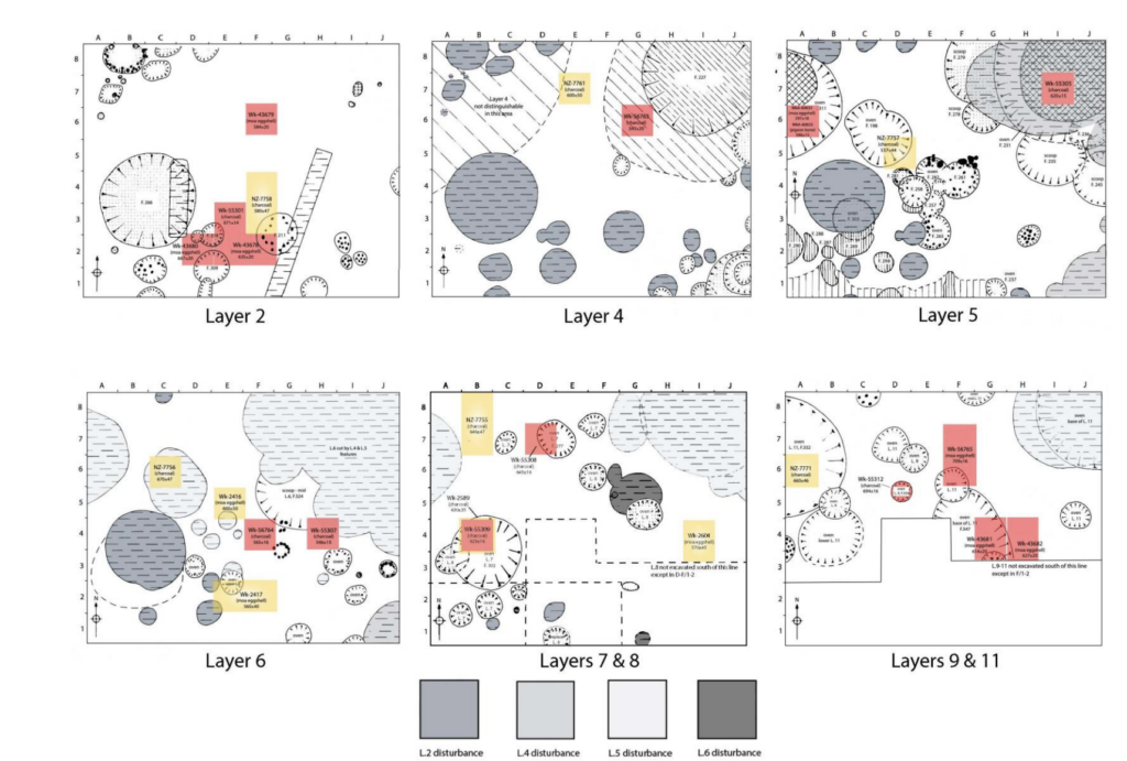 Archaeological excavation plans from Waihemo, New Zealand, showing overlapping features, disturbed occupation layers, and radiocarbon sample locations marked in yellow and red.