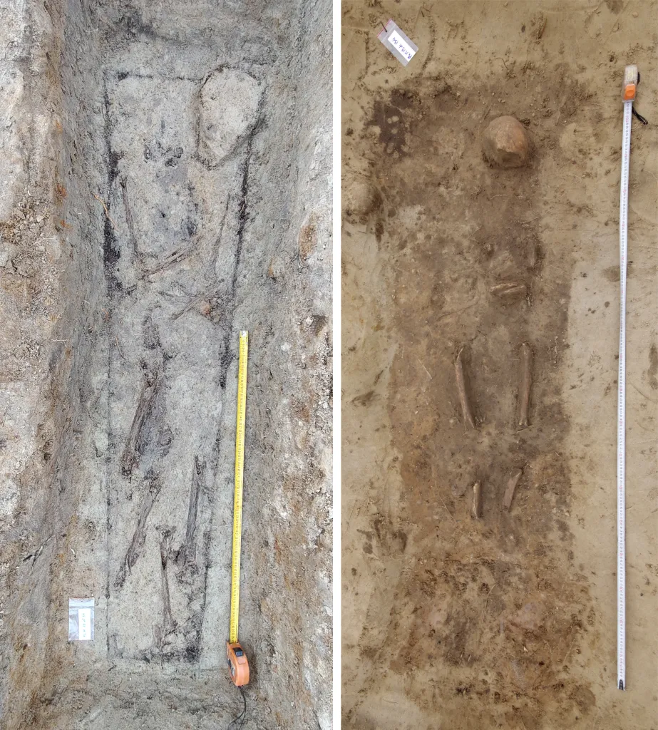 Human burials excavated in the Lutheran cemetery at Windmill Hill in Puck, Poland.