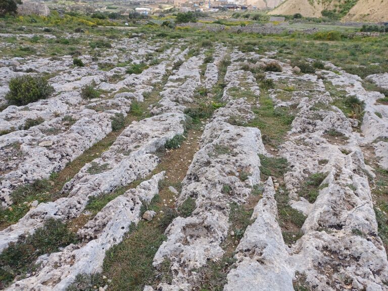 Mysterious ancient stone tracks crossing the limestone landscape at Misraħ Għar il-Kbir in Malta.