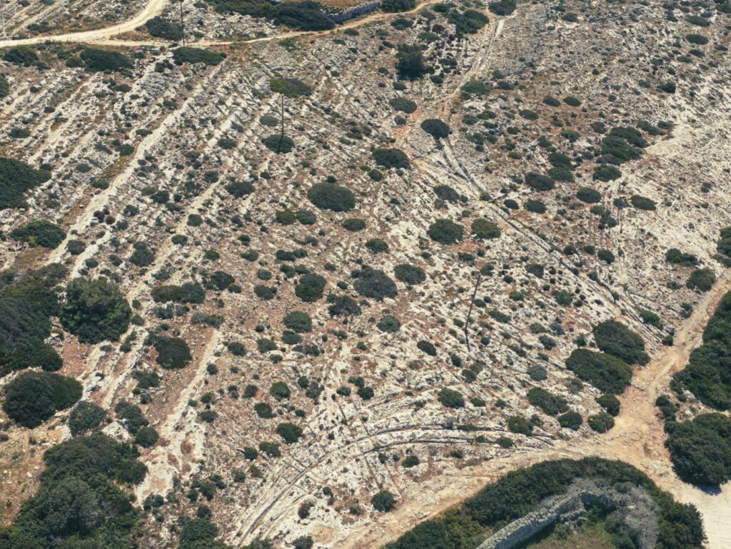 Dense network of intersecting ancient cart ruts carved into limestone at Misraħ Għar il-Kbir, Malta, covering an area of approximately 80 by 100 meters.