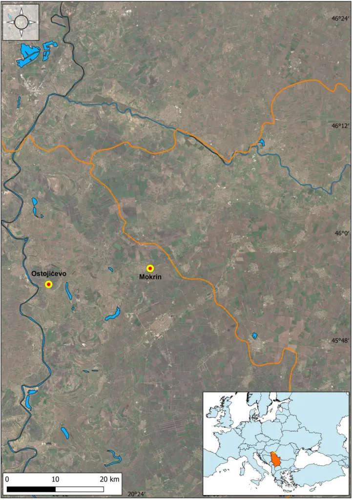 Map locating the Mokrin and Ostojićevo archaeological cemeteries in the Banat region of northern Serbia.