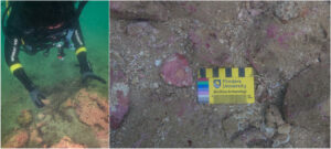 Stone Tools Reveal Possible Aboriginal Gathering Place Lost to the Sea 9,000 Years Ago
